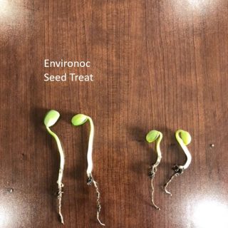 Seed Treatment Mack inc 2021